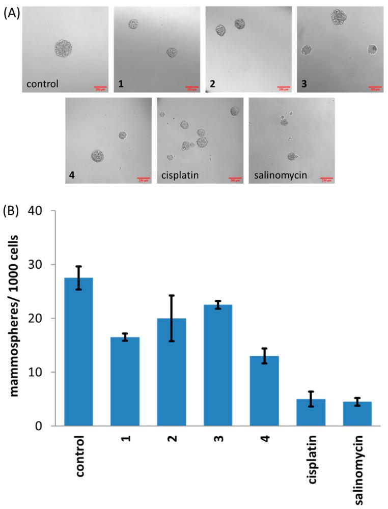 https://cdn.ncbi.nlm.nih.gov/pmc/blobs/6f7a/11990672/19d8c1dfd6fb/molecules-30-01636-g002.jpg