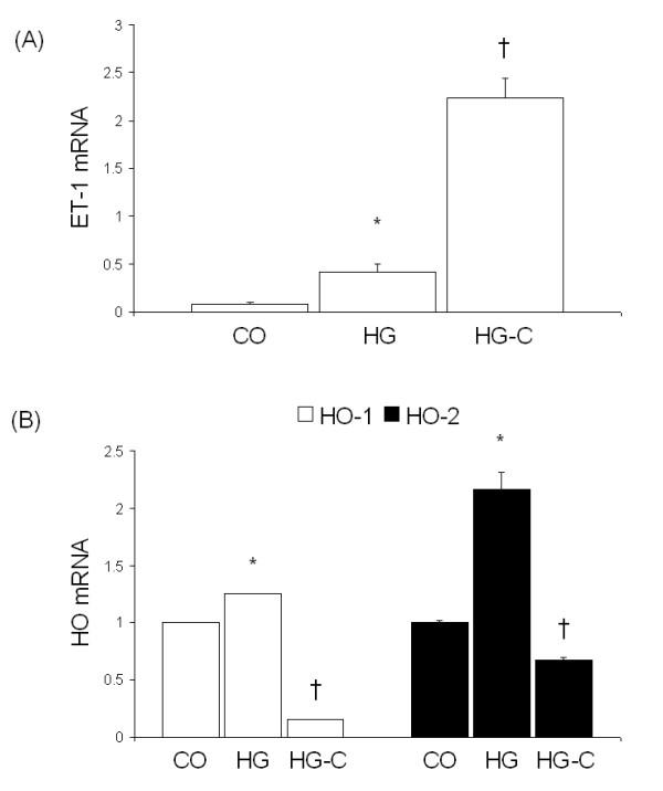 https://cdn.ncbi.nlm.nih.gov/pmc/blobs/6f7b/1543622/33a75ed5d050/1743-7075-3-27-4.jpg