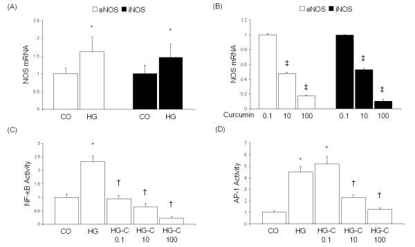 https://cdn.ncbi.nlm.nih.gov/pmc/blobs/6f7b/1543622/3e98955e631a/1743-7075-3-27-3.jpg