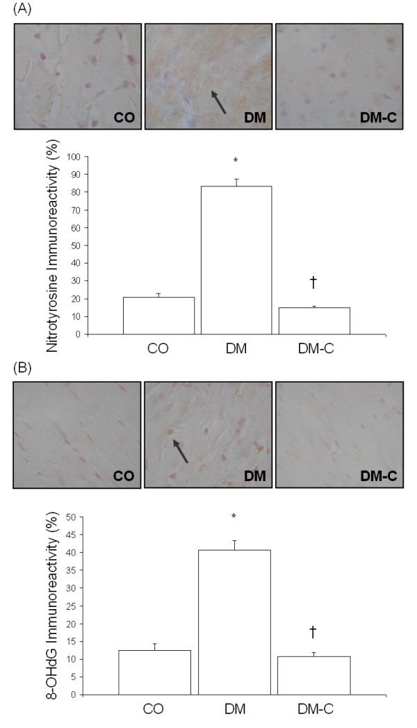 https://cdn.ncbi.nlm.nih.gov/pmc/blobs/6f7b/1543622/782428e60439/1743-7075-3-27-2.jpg