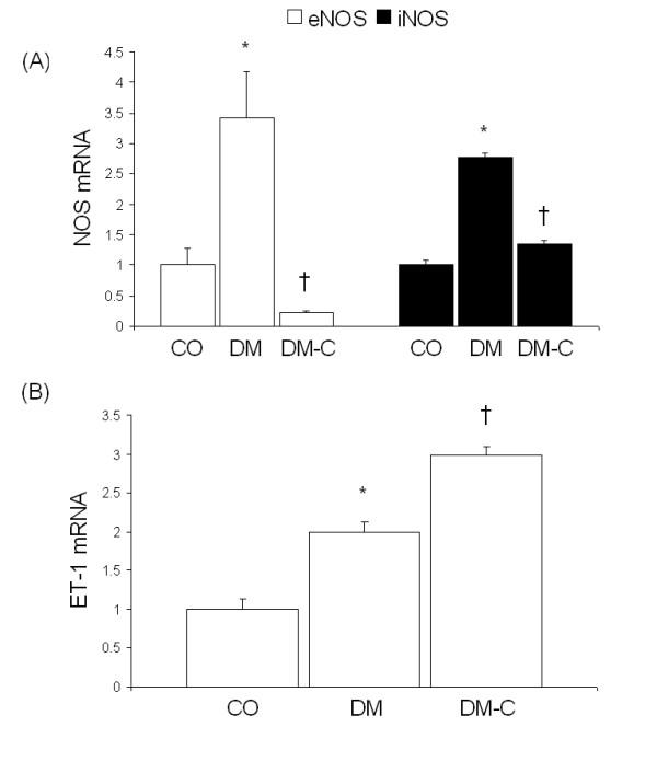 https://cdn.ncbi.nlm.nih.gov/pmc/blobs/6f7b/1543622/a2ac1e86dd47/1743-7075-3-27-1.jpg
