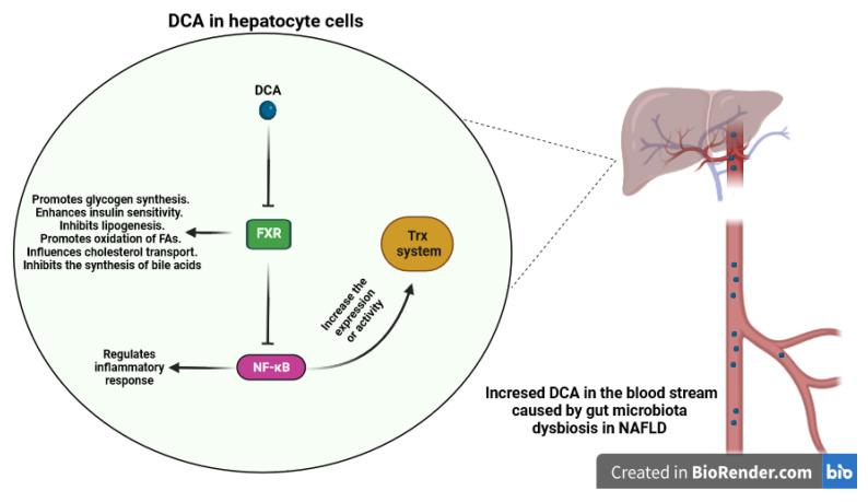 https://cdn.ncbi.nlm.nih.gov/pmc/blobs/6f7c/10525532/9fb7ff0d3ed9/antioxidants-12-01680-g007.jpg