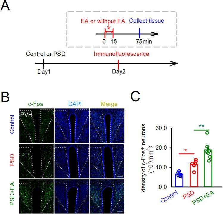 https://cdn.ncbi.nlm.nih.gov/pmc/blobs/6f7c/8987055/702b6621a8b9/41598_2022_9470_Fig3_HTML.jpg