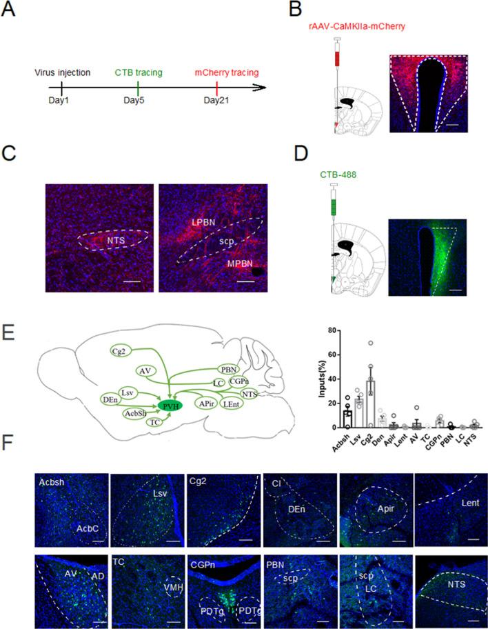 https://cdn.ncbi.nlm.nih.gov/pmc/blobs/6f7c/8987055/a470108cc46c/41598_2022_9470_Fig2_HTML.jpg