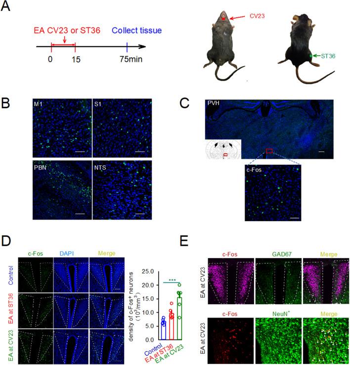 https://cdn.ncbi.nlm.nih.gov/pmc/blobs/6f7c/8987055/d09d31bc0980/41598_2022_9470_Fig1_HTML.jpg