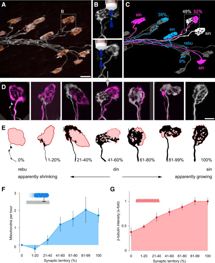 https://cdn.ncbi.nlm.nih.gov/pmc/blobs/6f80/5133389/da019adcbd25/gr1.jpg