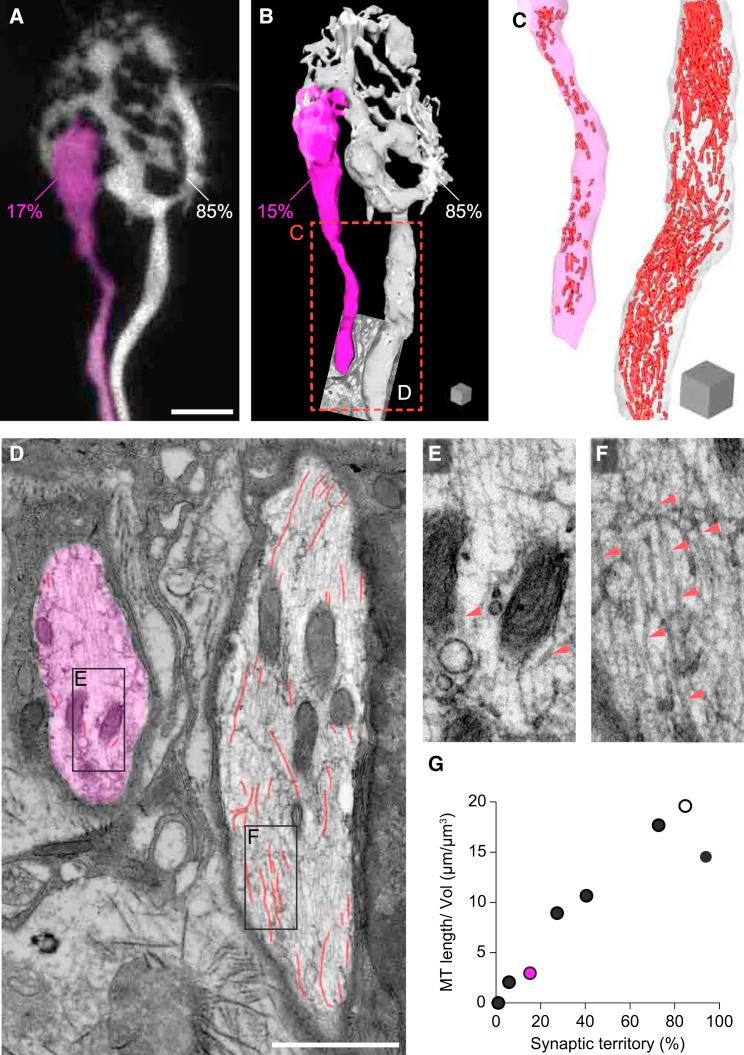 https://cdn.ncbi.nlm.nih.gov/pmc/blobs/6f80/5133389/f545f7aab087/gr3.jpg