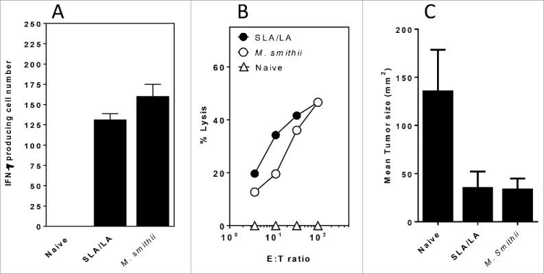 https://cdn.ncbi.nlm.nih.gov/pmc/blobs/6f80/5718820/07e7e329a561/khvi-13-12-1316912-g005.jpg