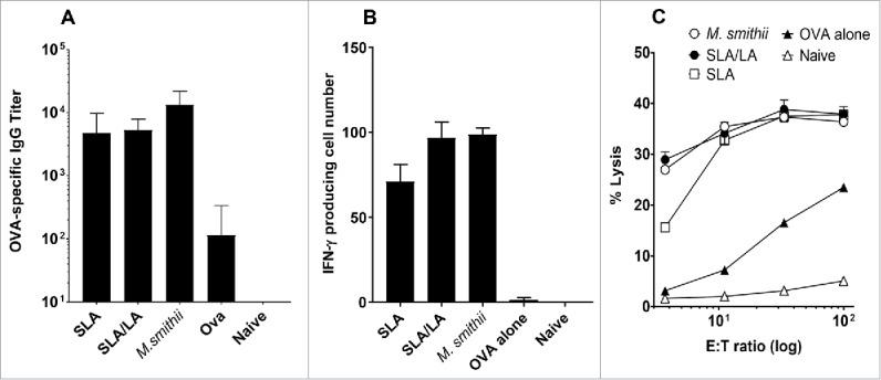 https://cdn.ncbi.nlm.nih.gov/pmc/blobs/6f80/5718820/28d964931ea1/khvi-13-12-1316912-g003.jpg