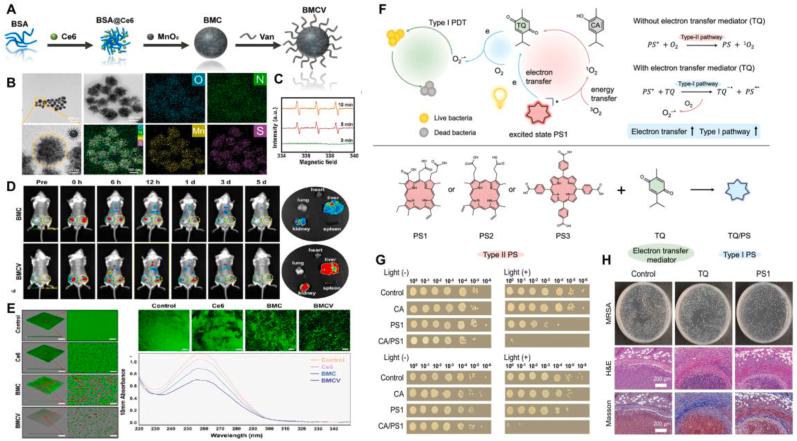 https://cdn.ncbi.nlm.nih.gov/pmc/blobs/6f81/11459013/9065381e3669/gr10.jpg