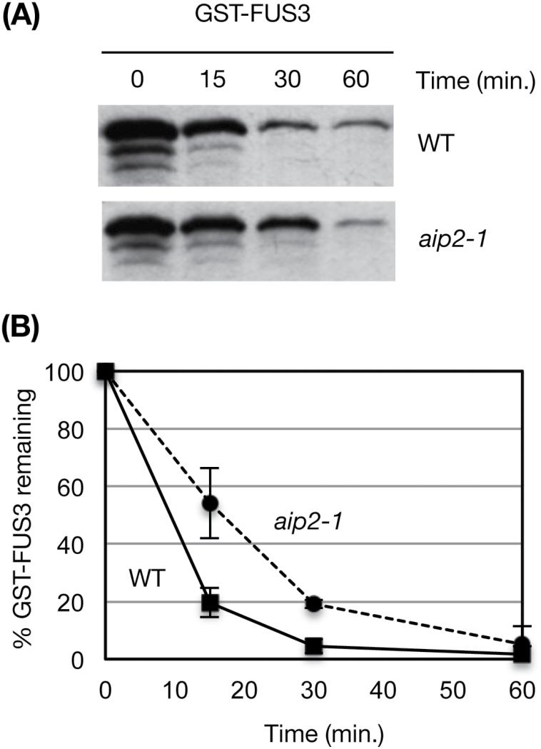 https://cdn.ncbi.nlm.nih.gov/pmc/blobs/6f81/5441903/027d88268878/erx04605.jpg
