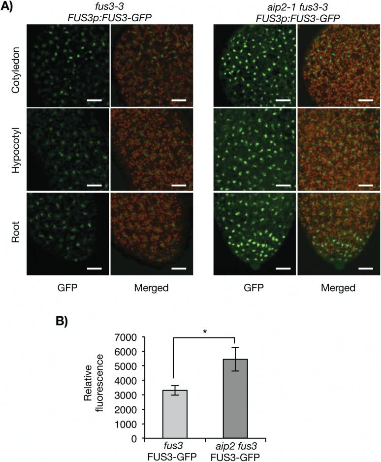 https://cdn.ncbi.nlm.nih.gov/pmc/blobs/6f81/5441903/1e4ec0830e20/erx04604.jpg