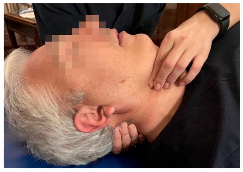 https://cdn.ncbi.nlm.nih.gov/pmc/blobs/6f82/11205607/d3458c9df9e4/medicina-60-00845-g002.jpg
