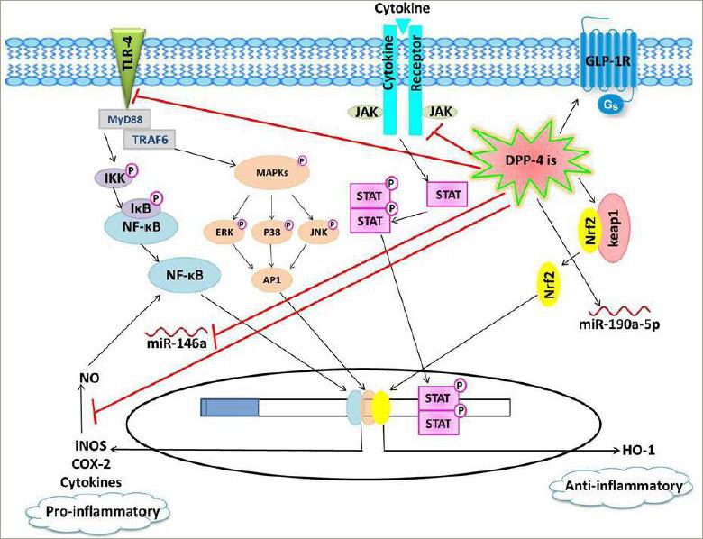 https://cdn.ncbi.nlm.nih.gov/pmc/blobs/6f82/11548370/ce48a88f5878/touchendo-20-2-019-g001.jpg