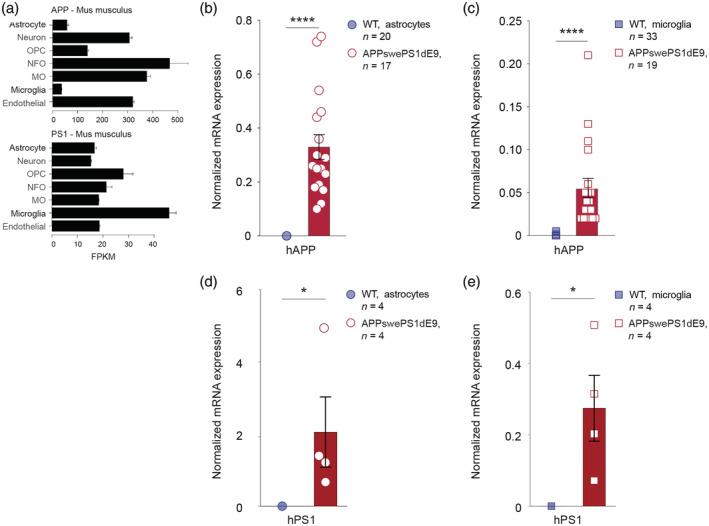 https://cdn.ncbi.nlm.nih.gov/pmc/blobs/6f83/8247905/78f5c7f55ba8/GLIA-69-1852-g004.jpg