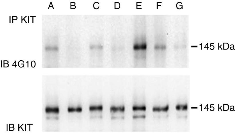 https://cdn.ncbi.nlm.nih.gov/pmc/blobs/6f84/2361250/0a526088d65d/94-6603063f2.jpg