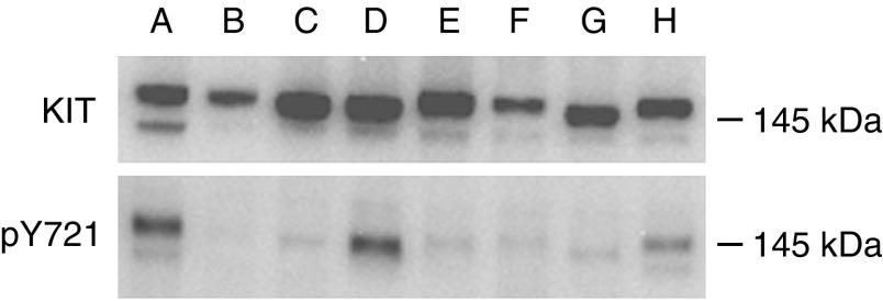 https://cdn.ncbi.nlm.nih.gov/pmc/blobs/6f84/2361250/0ee2c256ebb2/94-6603063f1.jpg