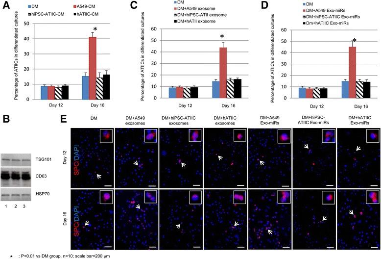 https://cdn.ncbi.nlm.nih.gov/pmc/blobs/6f84/5465462/564f5369a24a/13287_2017_586_Fig1_HTML.jpg