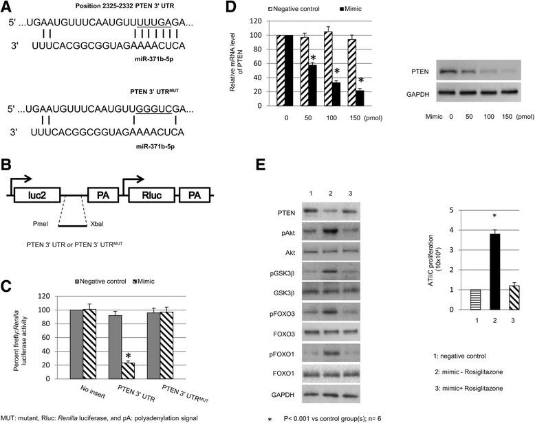 https://cdn.ncbi.nlm.nih.gov/pmc/blobs/6f84/5465462/5fd607c51f06/13287_2017_586_Fig4_HTML.jpg