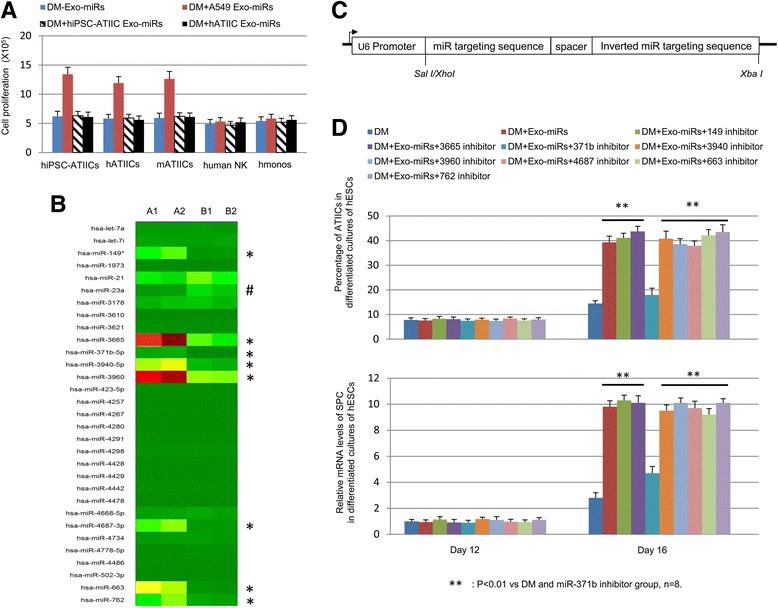 https://cdn.ncbi.nlm.nih.gov/pmc/blobs/6f84/5465462/cfe4604f0c1f/13287_2017_586_Fig2_HTML.jpg