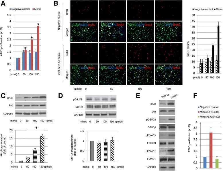 https://cdn.ncbi.nlm.nih.gov/pmc/blobs/6f84/5465462/dc0ff04bf48d/13287_2017_586_Fig3_HTML.jpg