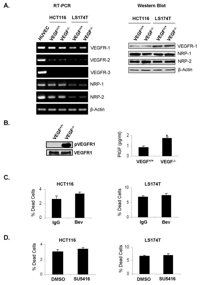 https://cdn.ncbi.nlm.nih.gov/pmc/blobs/6f85/3224802/5d3e33d794b1/nihms325086f4.jpg