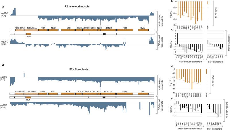 https://cdn.ncbi.nlm.nih.gov/pmc/blobs/6f85/9950373/0cea060f61af/41467_2023_36277_Fig5_HTML.jpg