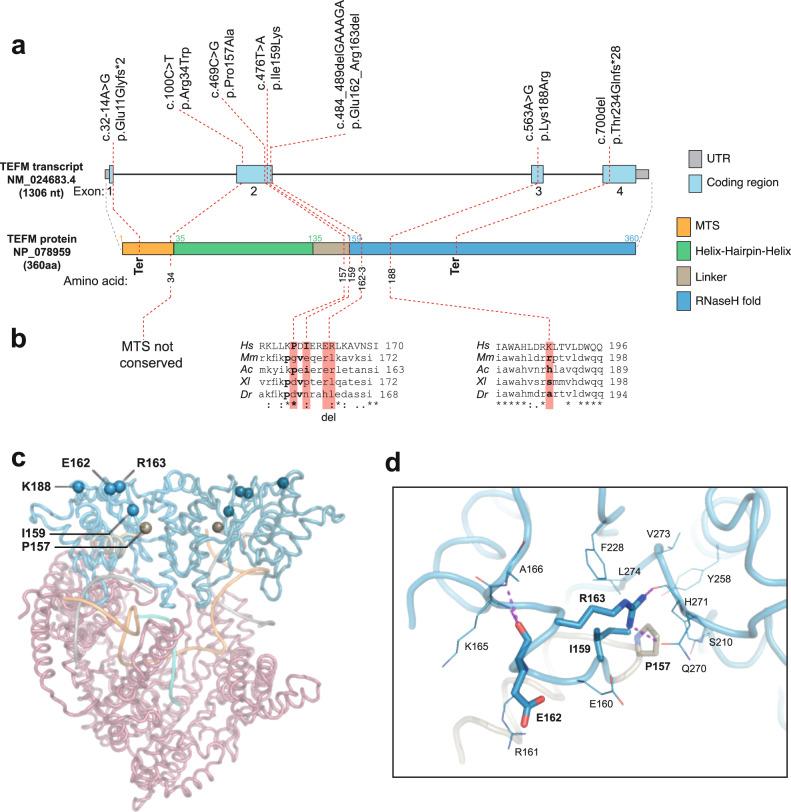 https://cdn.ncbi.nlm.nih.gov/pmc/blobs/6f85/9950373/ab76abe1472a/41467_2023_36277_Fig3_HTML.jpg