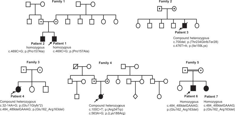 https://cdn.ncbi.nlm.nih.gov/pmc/blobs/6f85/9950373/d5624f9c03f8/41467_2023_36277_Fig1_HTML.jpg