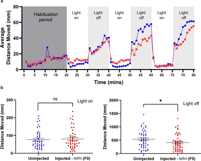 https://cdn.ncbi.nlm.nih.gov/pmc/blobs/6f85/9950373/d62c692fe693/41467_2023_36277_Fig8_HTML.jpg