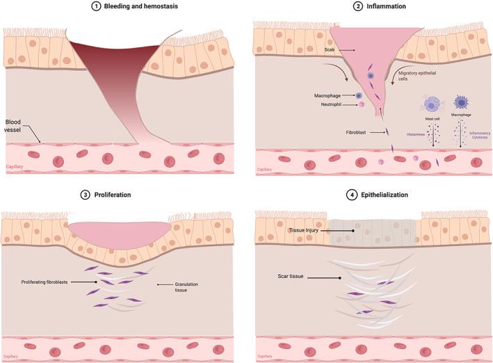 https://cdn.ncbi.nlm.nih.gov/pmc/blobs/6f8b/9543412/30c18e9d4e25/HED-44-1948-g003.jpg