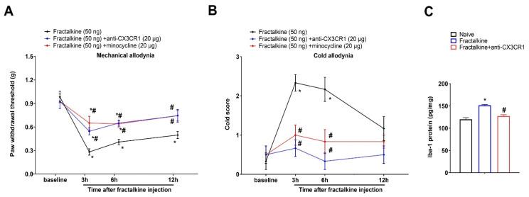 https://cdn.ncbi.nlm.nih.gov/pmc/blobs/6f8c/10216346/5ccd8eaec2b3/brainsci-13-00739-g006.jpg