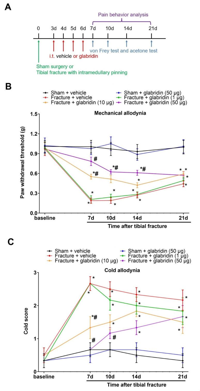 https://cdn.ncbi.nlm.nih.gov/pmc/blobs/6f8c/10216346/7cac4cf7979e/brainsci-13-00739-g001.jpg