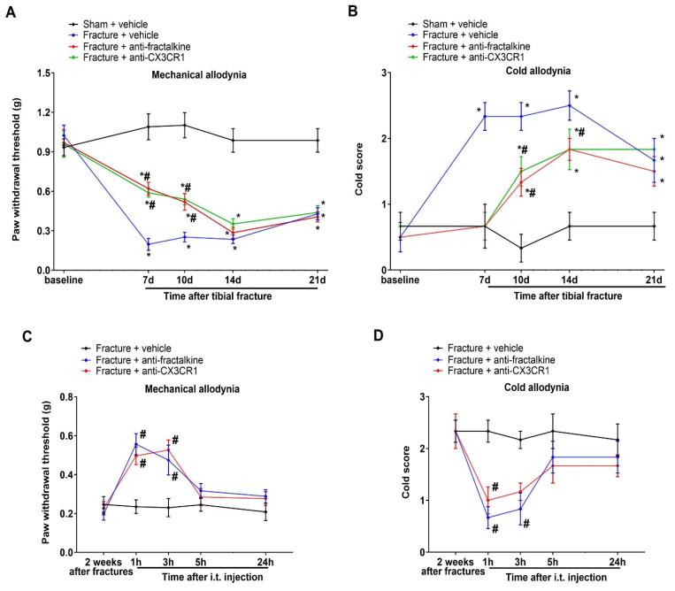 https://cdn.ncbi.nlm.nih.gov/pmc/blobs/6f8c/10216346/f83f280f4e14/brainsci-13-00739-g004.jpg