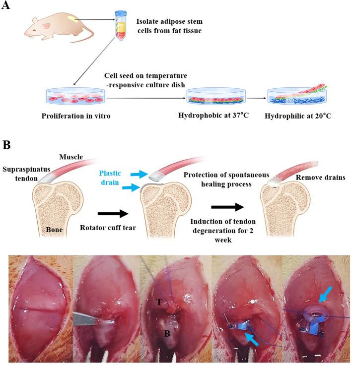 https://cdn.ncbi.nlm.nih.gov/pmc/blobs/6f8c/8947210/afff837f84d0/pone.0266030.g001.jpg