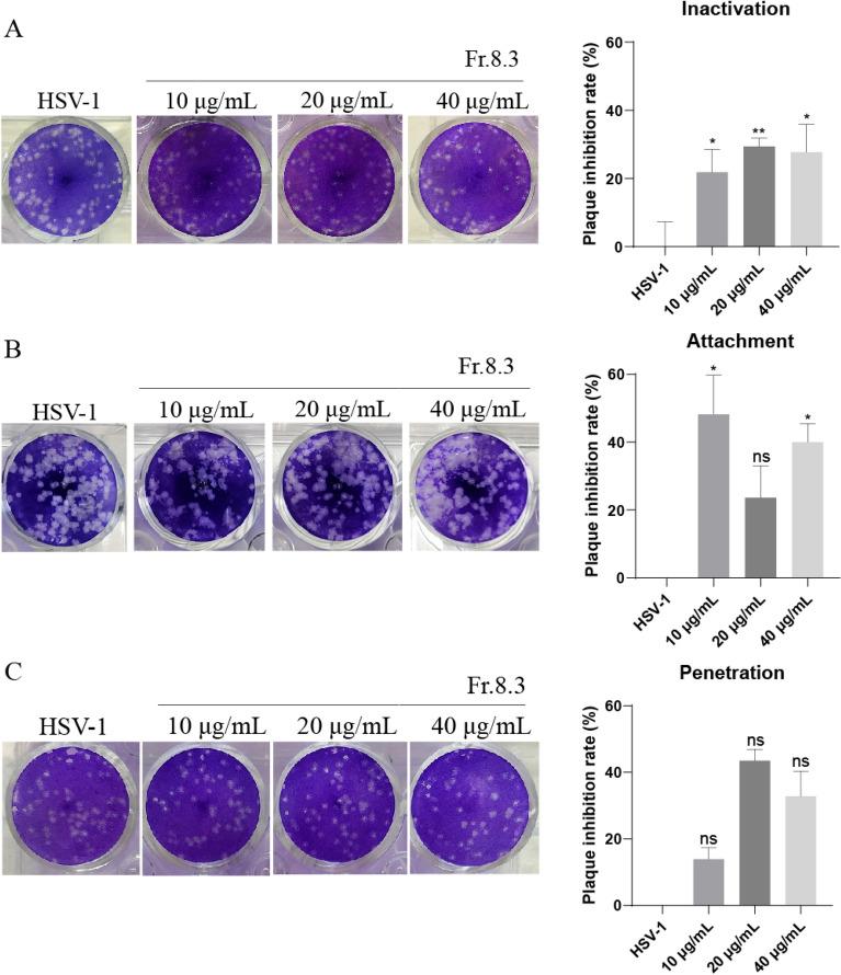 https://cdn.ncbi.nlm.nih.gov/pmc/blobs/6f8d/9972753/3ea27dff65fd/13020_2023_711_Fig6_HTML.jpg