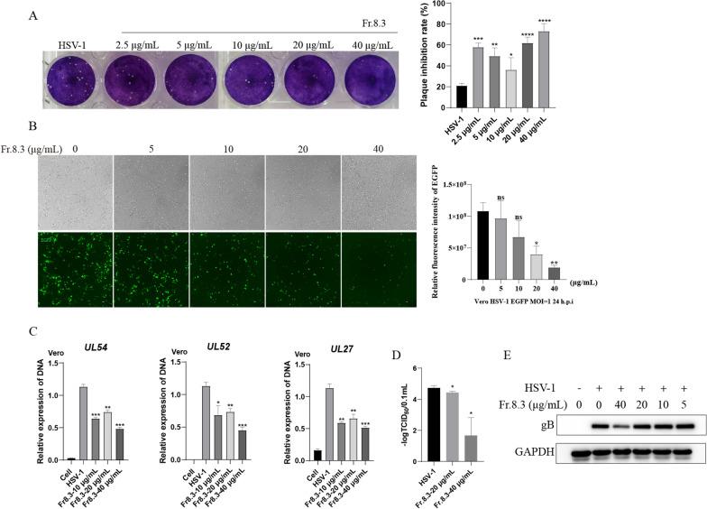 https://cdn.ncbi.nlm.nih.gov/pmc/blobs/6f8d/9972753/926b815668de/13020_2023_711_Fig3_HTML.jpg