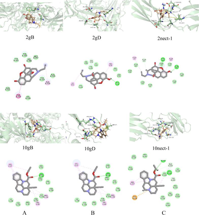https://cdn.ncbi.nlm.nih.gov/pmc/blobs/6f8d/9972753/9368bbe4588b/13020_2023_711_Fig8_HTML.jpg