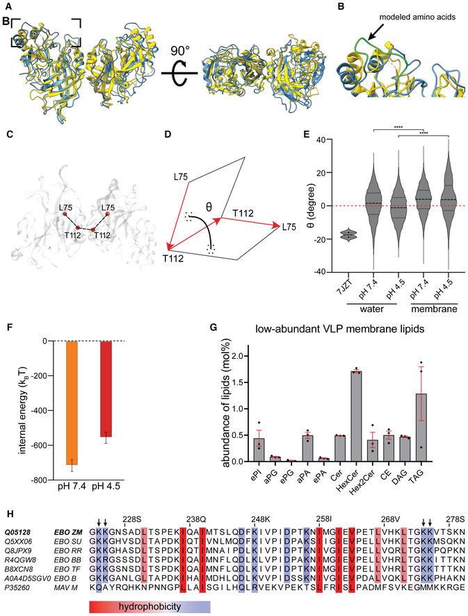 https://cdn.ncbi.nlm.nih.gov/pmc/blobs/6f90/10233383/4cfef345a89c/EMBJ-42-e113578-g001.jpg
