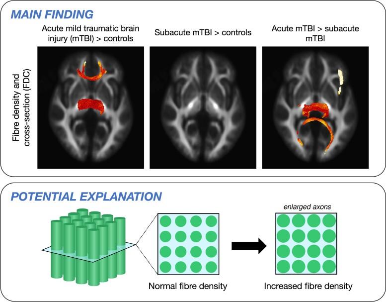 https://cdn.ncbi.nlm.nih.gov/pmc/blobs/6f90/9419063/3a6d04b0a049/fcac208ga1.jpg