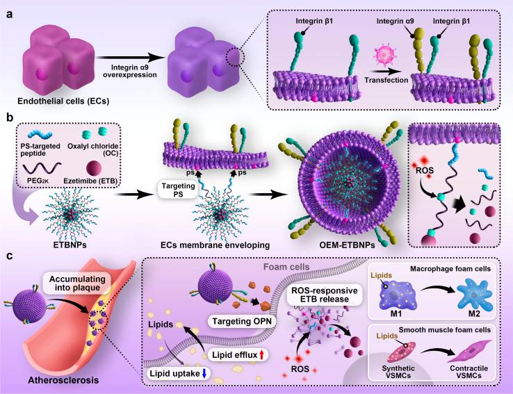 https://cdn.ncbi.nlm.nih.gov/pmc/blobs/6f91/11110172/3a3b099427d0/d4sc00761a-f1.jpg
