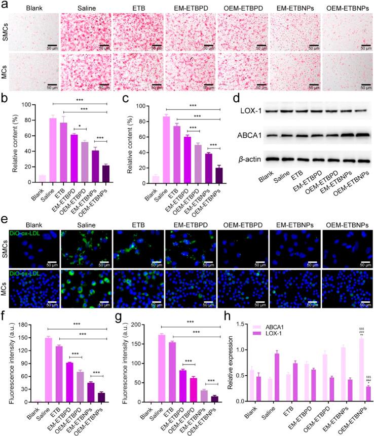 https://cdn.ncbi.nlm.nih.gov/pmc/blobs/6f91/11110172/407c49417c98/d4sc00761a-f5.jpg