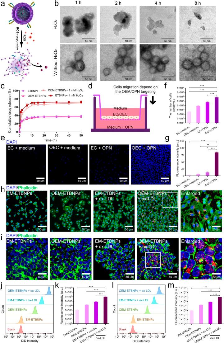 https://cdn.ncbi.nlm.nih.gov/pmc/blobs/6f91/11110172/995d1bb1023b/d4sc00761a-f4.jpg
