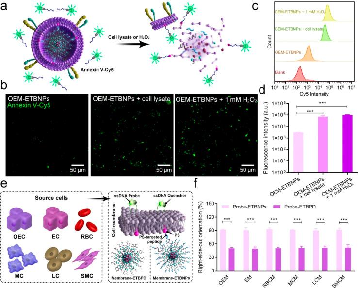 https://cdn.ncbi.nlm.nih.gov/pmc/blobs/6f91/11110172/a12019b499ef/d4sc00761a-f3.jpg