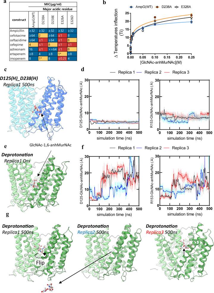 https://cdn.ncbi.nlm.nih.gov/pmc/blobs/6f93/12214514/039c93cee396/41467_2025_61169_Fig4_HTML.jpg