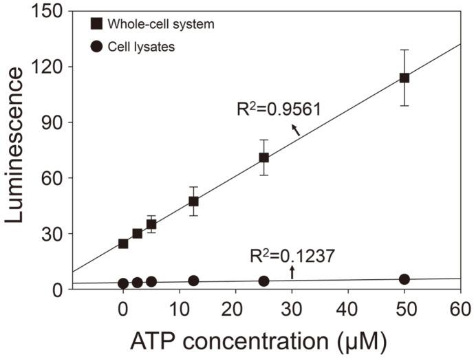 https://cdn.ncbi.nlm.nih.gov/pmc/blobs/6f94/10699265/68628b1e4e7d/jmb-33-11-1506-f2.jpg