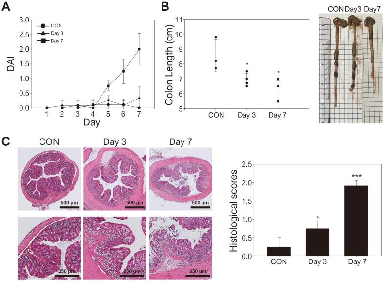 https://cdn.ncbi.nlm.nih.gov/pmc/blobs/6f94/10699265/a437611fe674/jmb-33-11-1506-f3.jpg