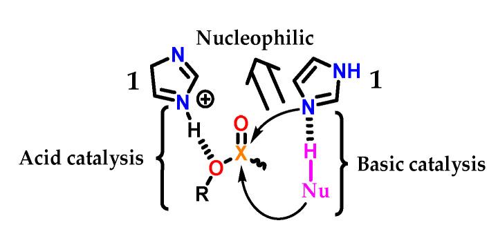 https://cdn.ncbi.nlm.nih.gov/pmc/blobs/6f94/9865940/0cee1a0cba78/molecules-28-00838-g028.jpg