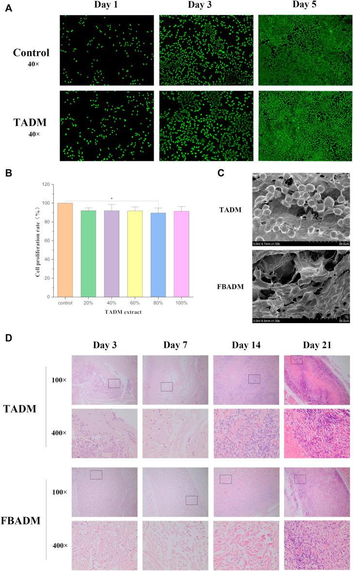 https://cdn.ncbi.nlm.nih.gov/pmc/blobs/6f95/8882825/40af57e5fb24/fbioe-09-792344-g002.jpg