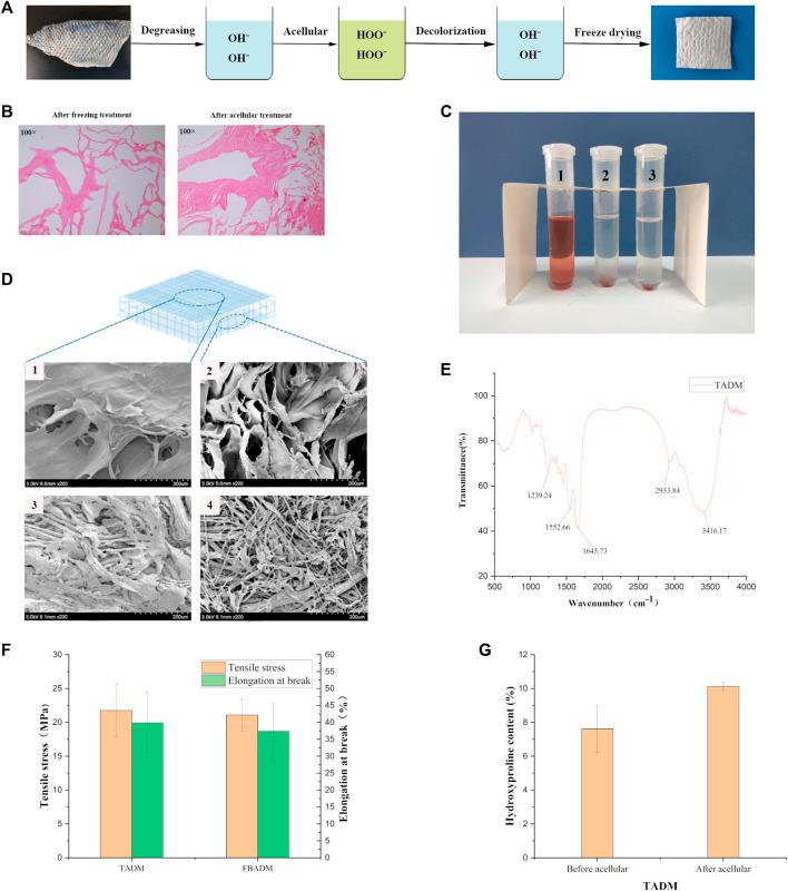 https://cdn.ncbi.nlm.nih.gov/pmc/blobs/6f95/8882825/e764d8e264af/fbioe-09-792344-g001.jpg